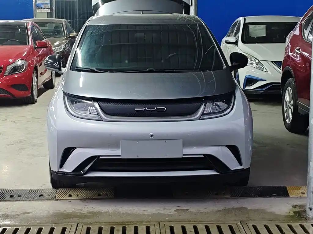 Фото 3 - BYD Dolphin