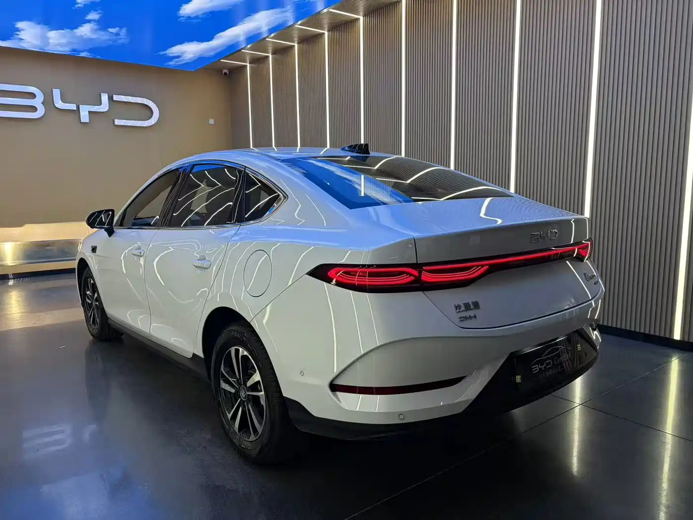 Фото 16 - BYD Qin PLUS