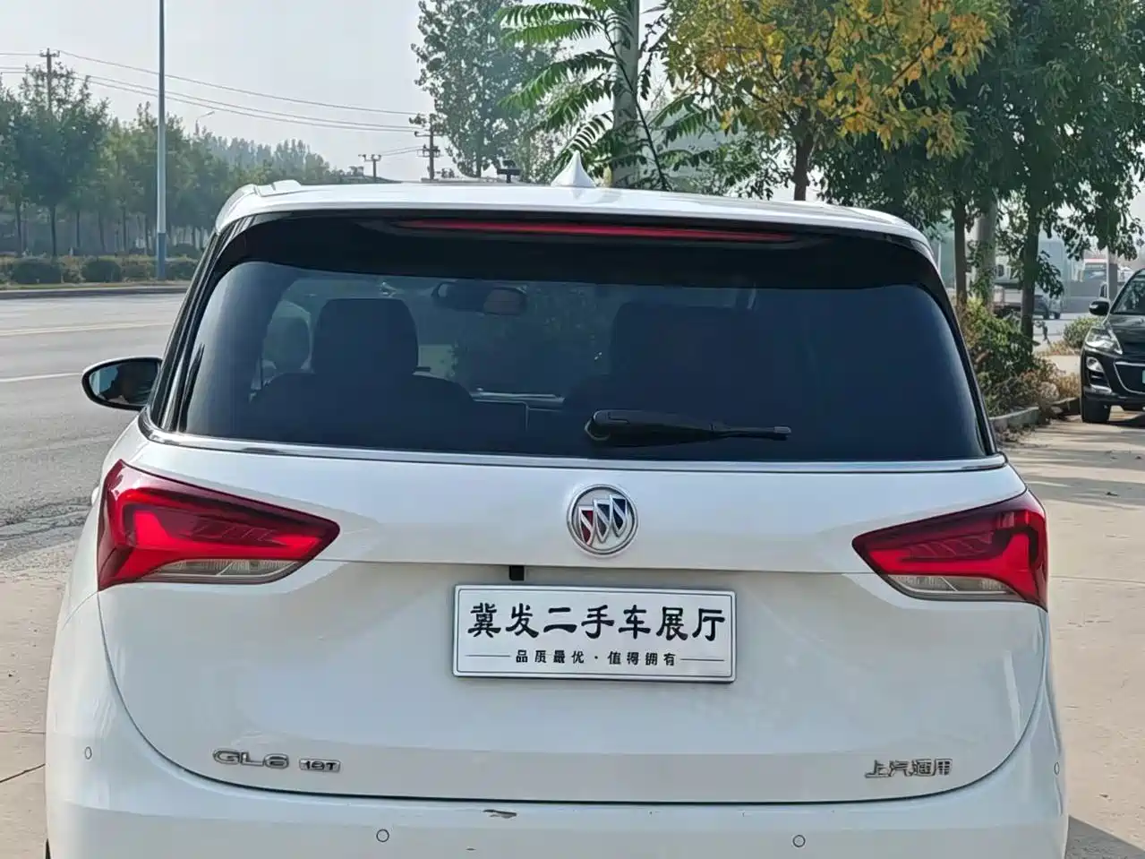 Фото 6 - Buick GL6