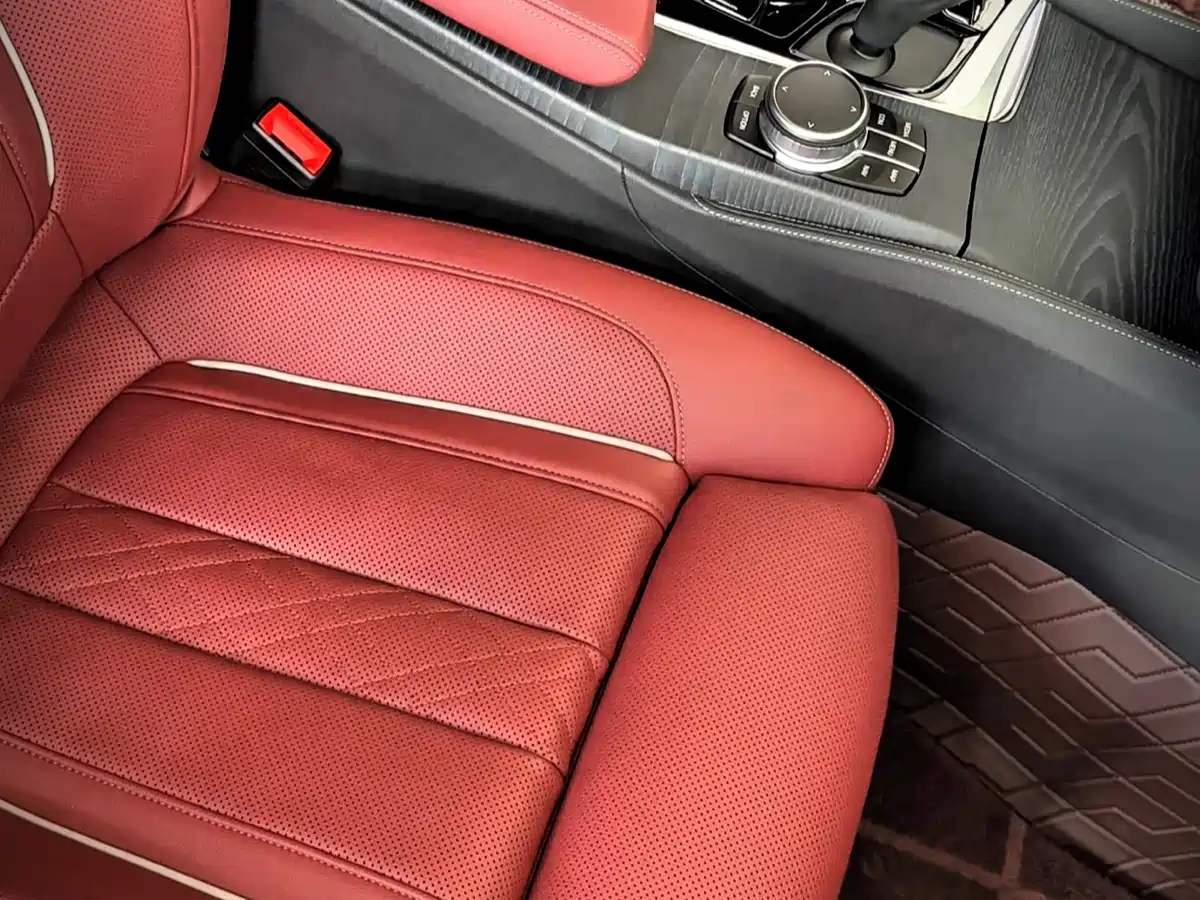 BMW 5 Series 2021 530Li Premium M Sport Package фото 4
