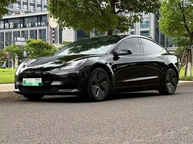 Tesla Model 3 2021 Standard Range Rear-Wheel Drive Upgrade 3D6