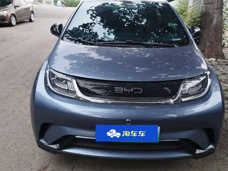 Фото 2 - BYD Dolphin