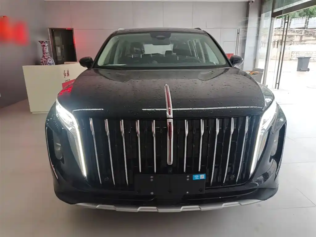 Hongqi HS7 PHEV 2024 2.0T PHEV 4WD Flagship Edition 6-seater фото 3
