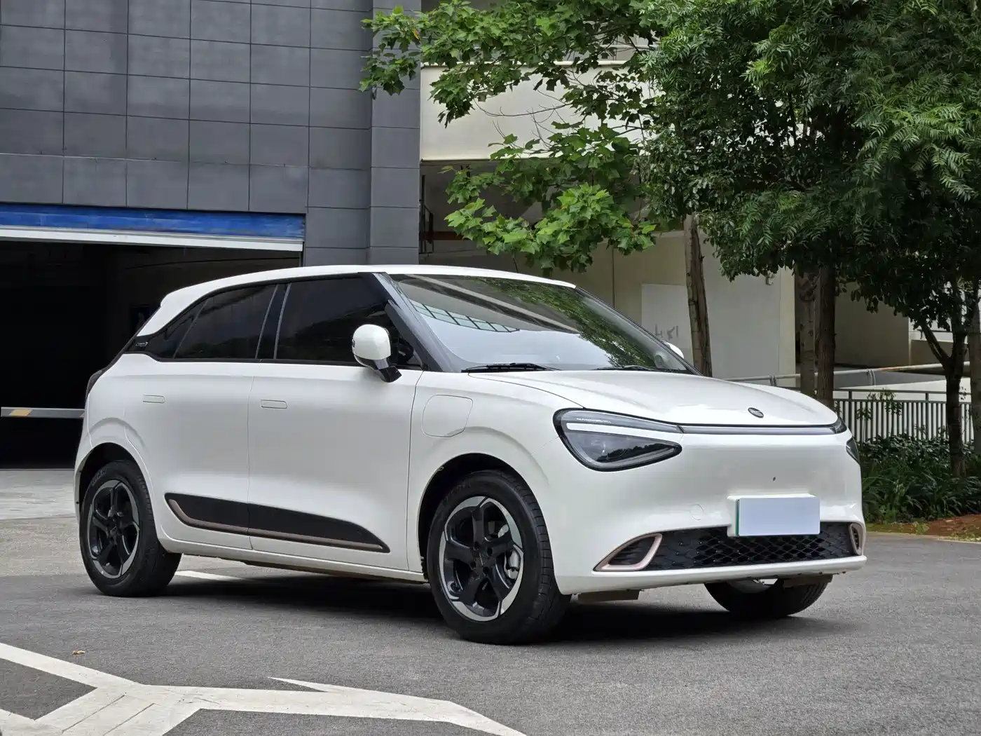 Dongfeng Yipai Nano 01 2024 2024 430 Plus