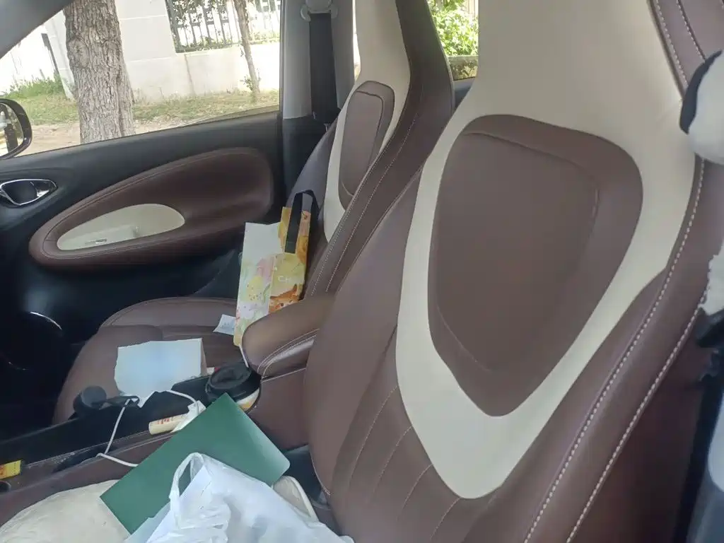 Wuling Motors Wuling Bingo 2023 2023 333km Joyful Version