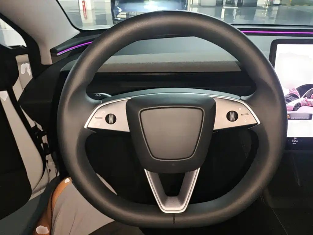 Tesla Model 3 2025 2025 Model Rear-Wheel Drive Edition