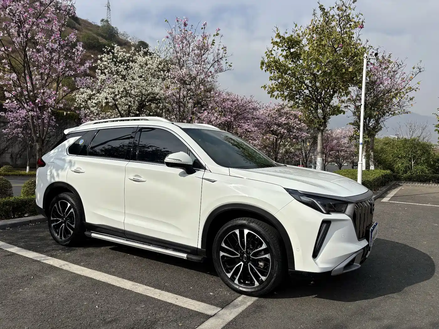 GAC Trumpchi Trumpchi GS4 PLUS 2023 390T Auto Nebula Edition фото 3