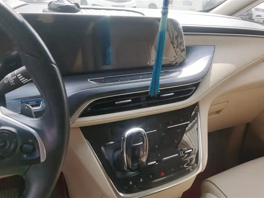 Buick GL8 2022 ES Landmark 653T Luxury фото 13