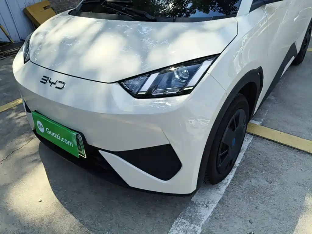 BYD Seagull 2026 2025 Smart Drive Edition 305km Vitality Version