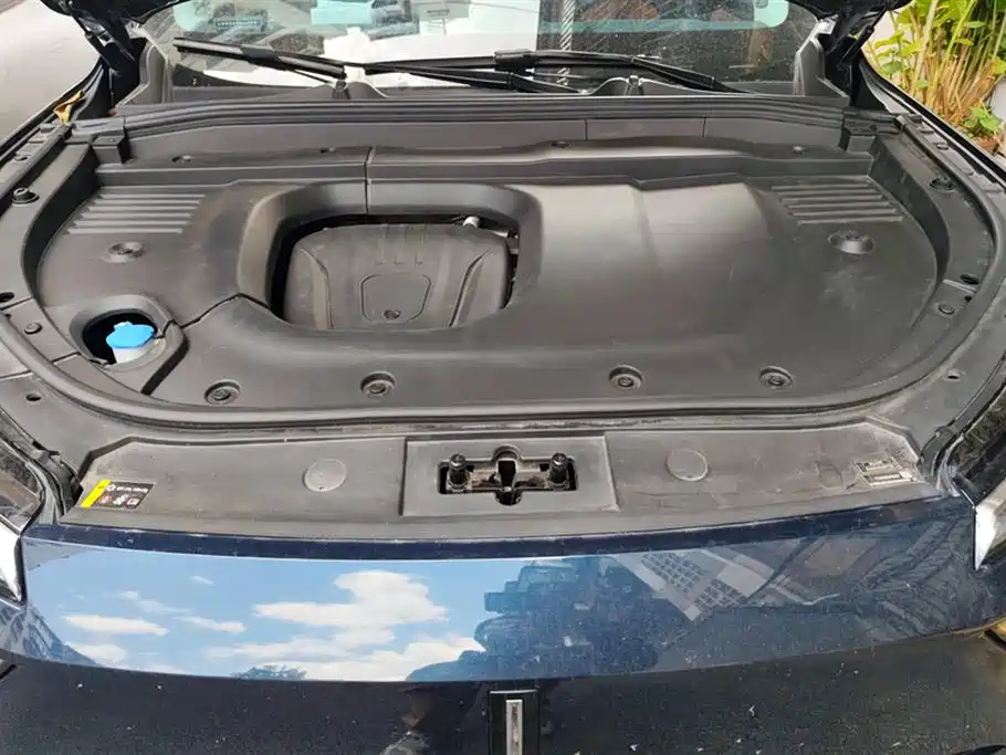 WEI PAI WEI BRAND BLUE MOUNTAIN