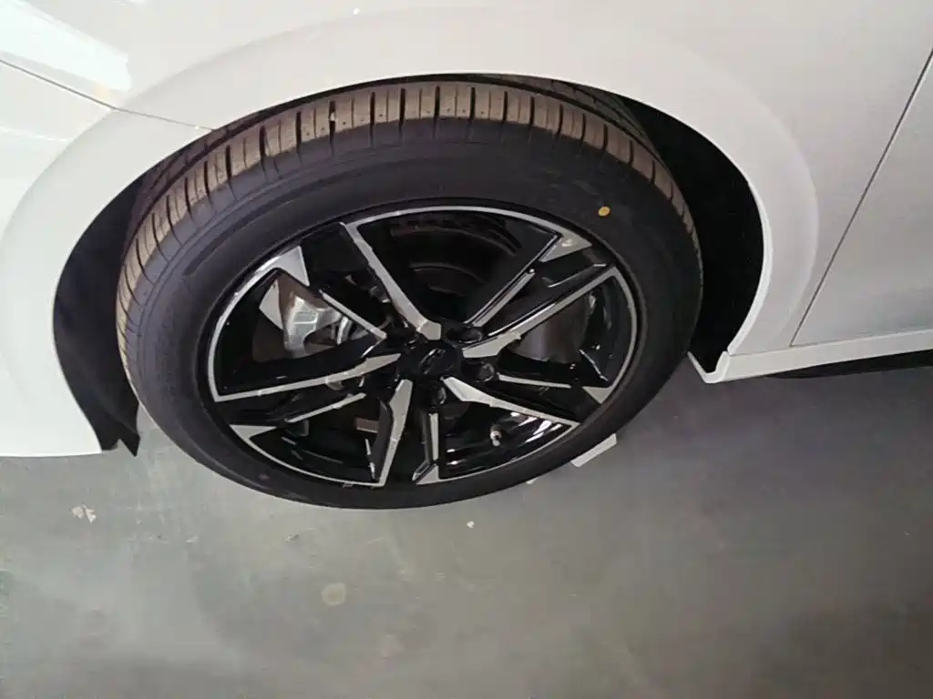 Фото 25 - Geely Binrui
