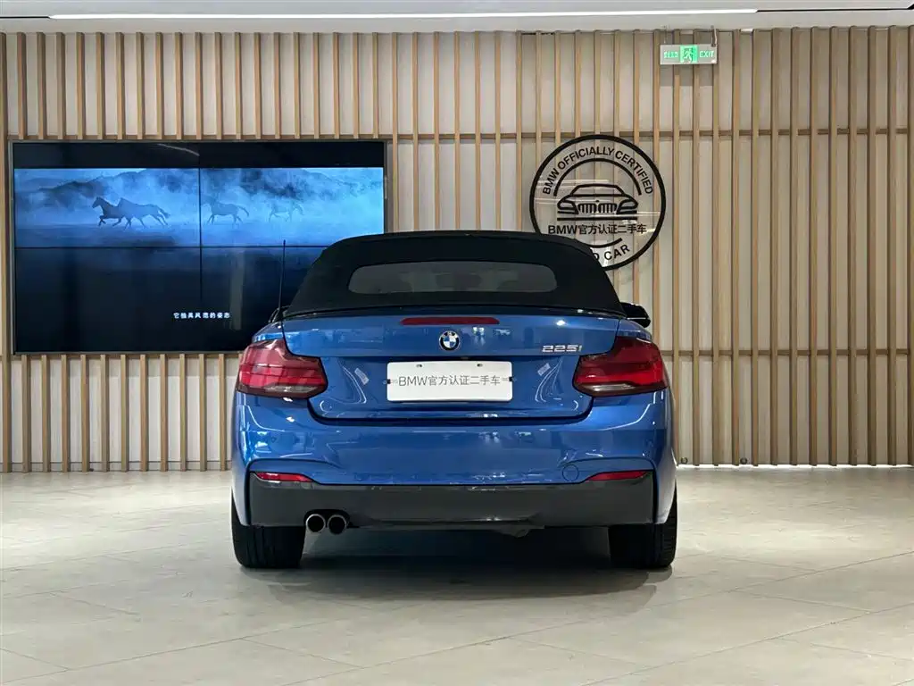 BMW 2 Series (Import) 2019 225i Convertible Coupe Exclusive M Sport Package фото 9