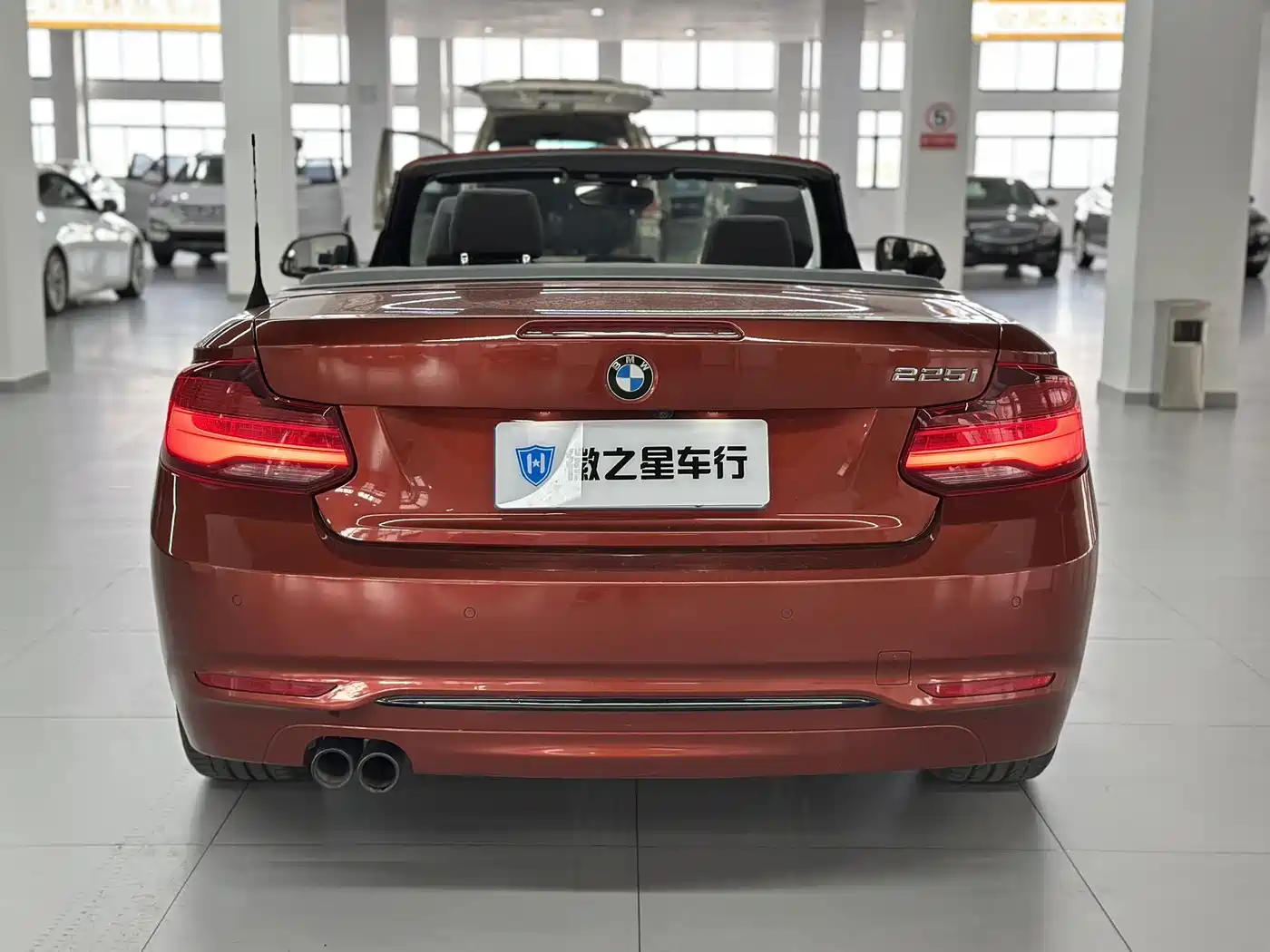 BMW 2 Series (Import) 2019 225i Convertible Coupe Sport Design Package фото 7