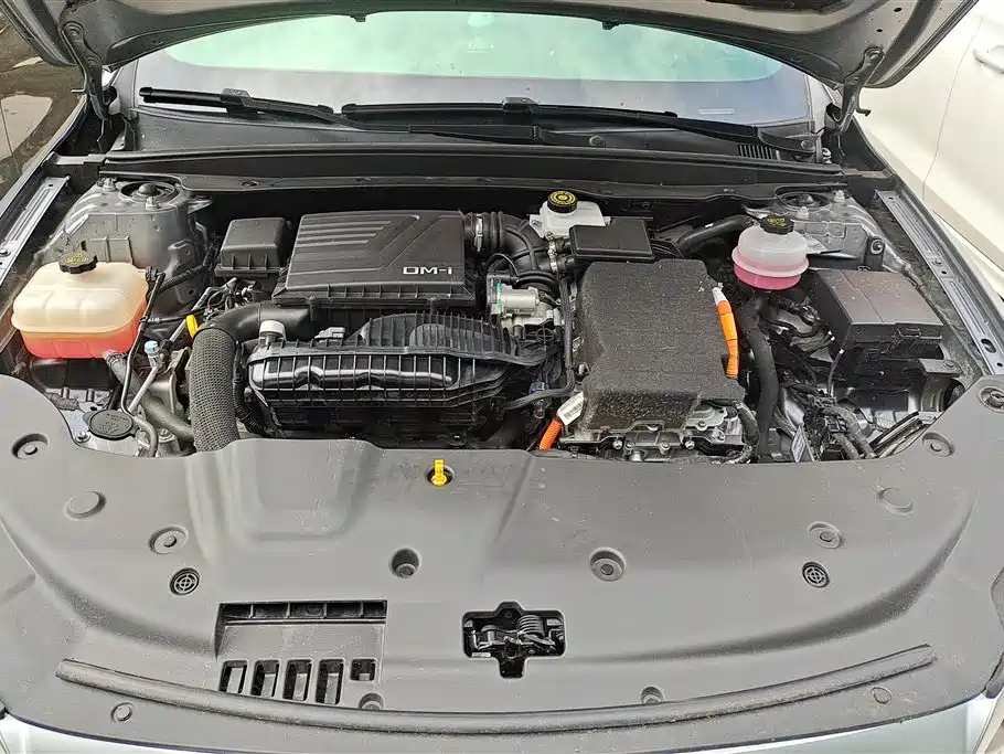 BYD Qin PLUS 2024 Glory Edition DM-i 55KM Leading фото 10