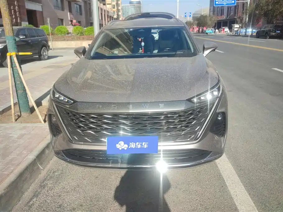 ROEWE RX9