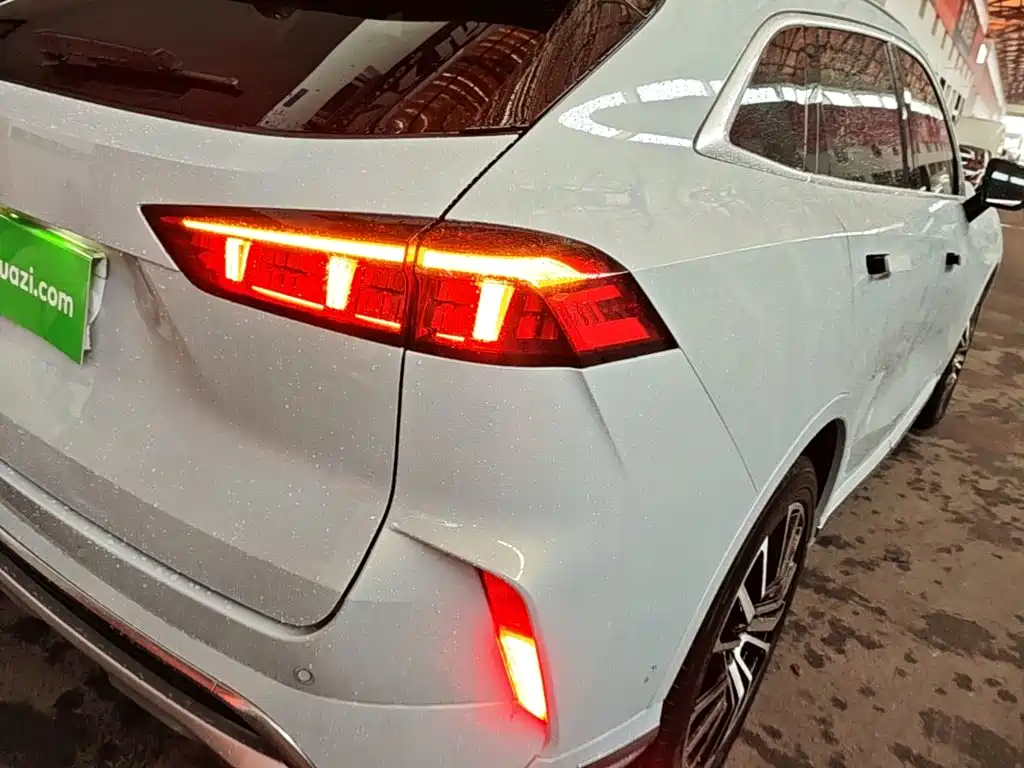 WEY Mocha 2023 2021 2.0T 4WD Premium Edition