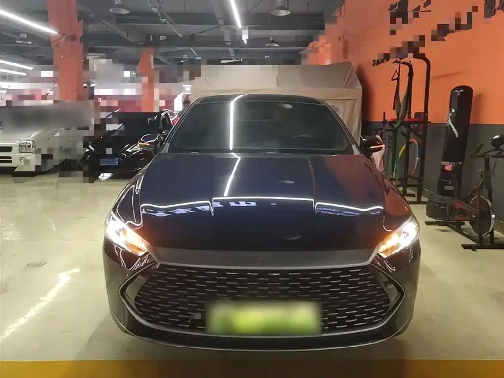 BYD Qin PLUS 2024 Glory Edition DM-i 55KM Leading фото 3
