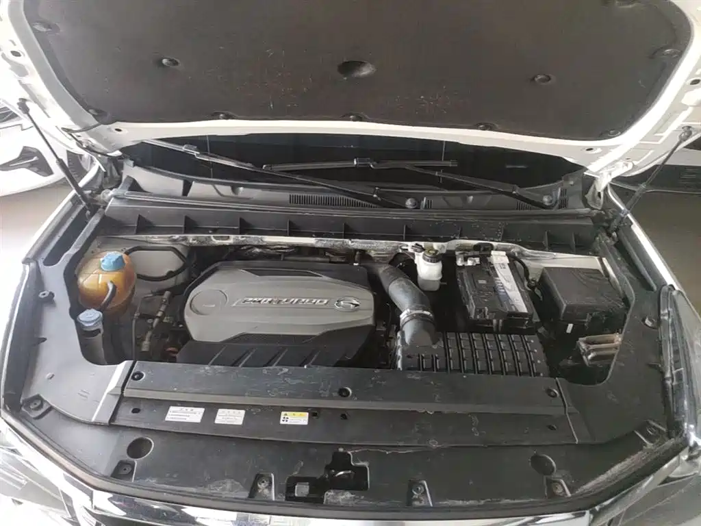 GAC Trumpchi Trumpchi GS7 2017 280T 2WD Luxury фото 20