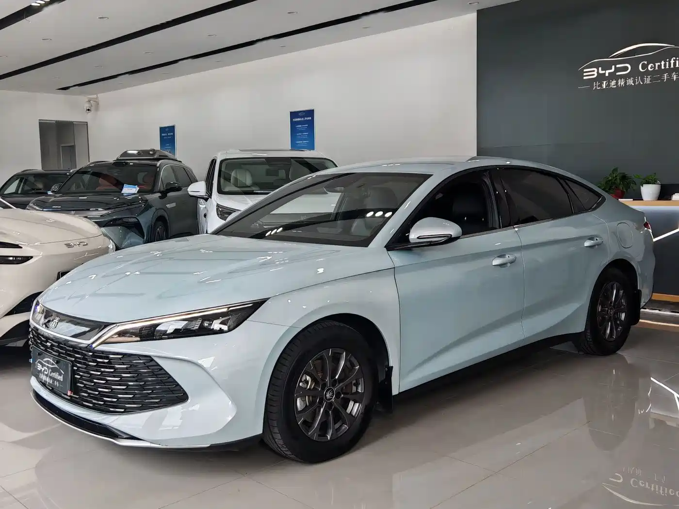 BYD Qin L 2024