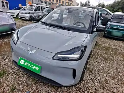 Wuling Bingo Plus