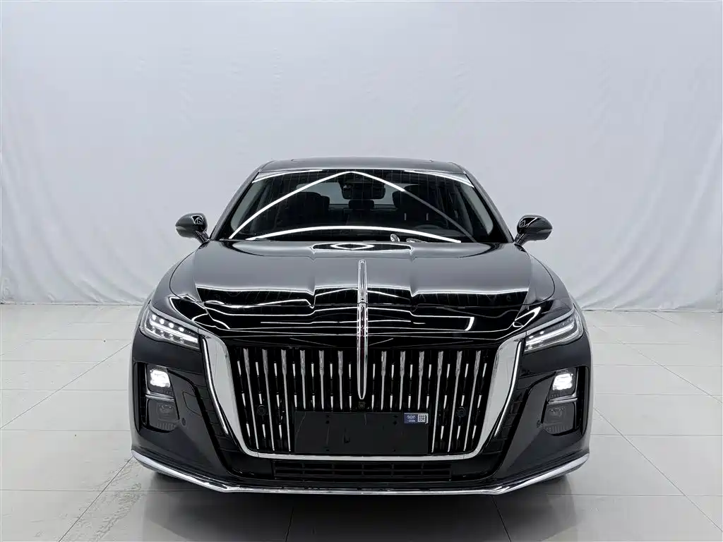 Hongqi H5 2024 2.0T Automatic Smart Connect Flag Smooth Edition фото 8