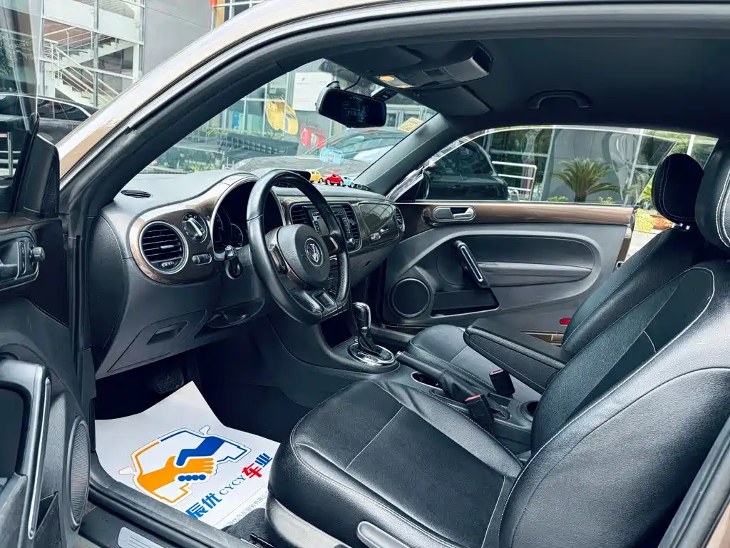 صورة 9 - Volkswagen Beetle