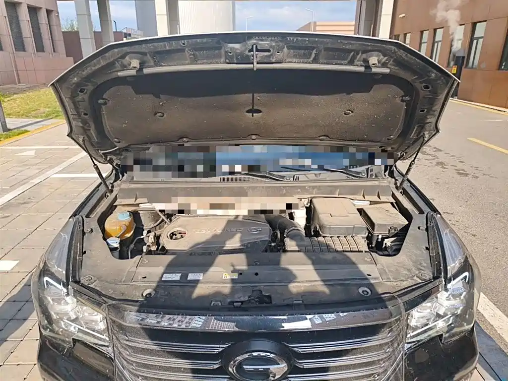 GAC Trumpchi Trumpchi GS8 2017 320T AWD Luxury Smart Connect (7-Seater) фото 11