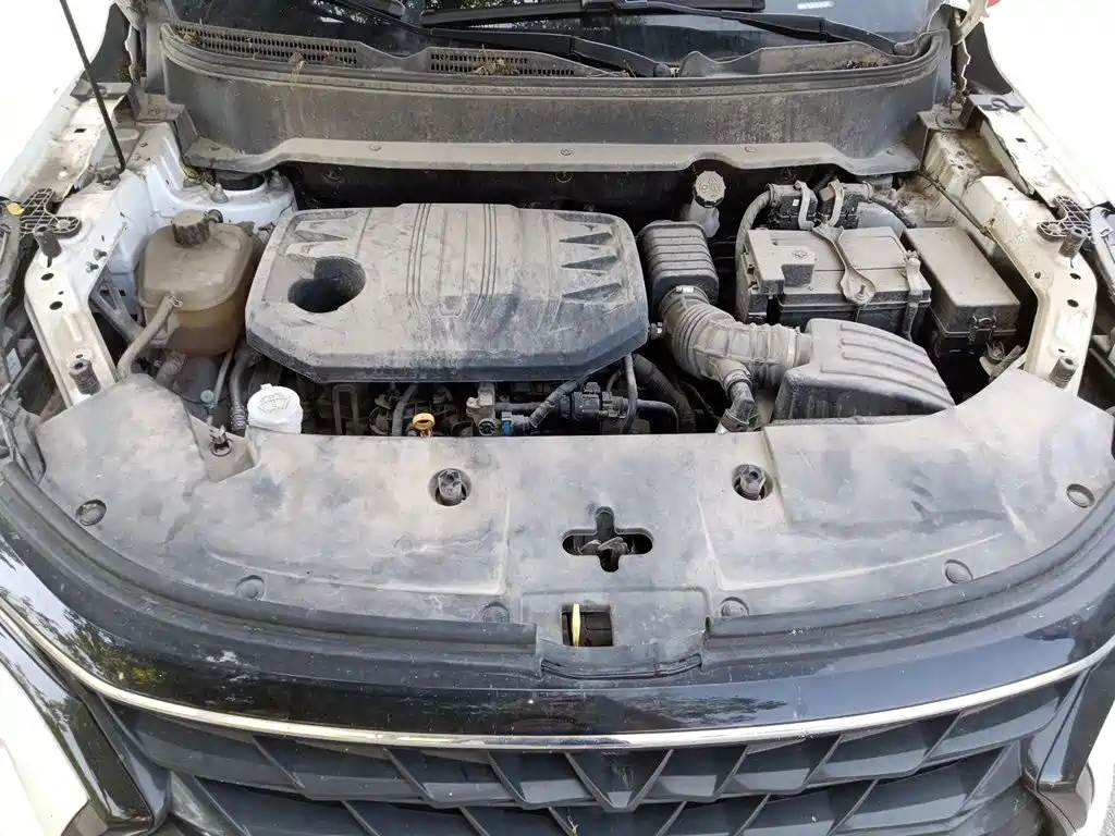 Фото 11 - Dongfeng Fengguang Fengguang 580