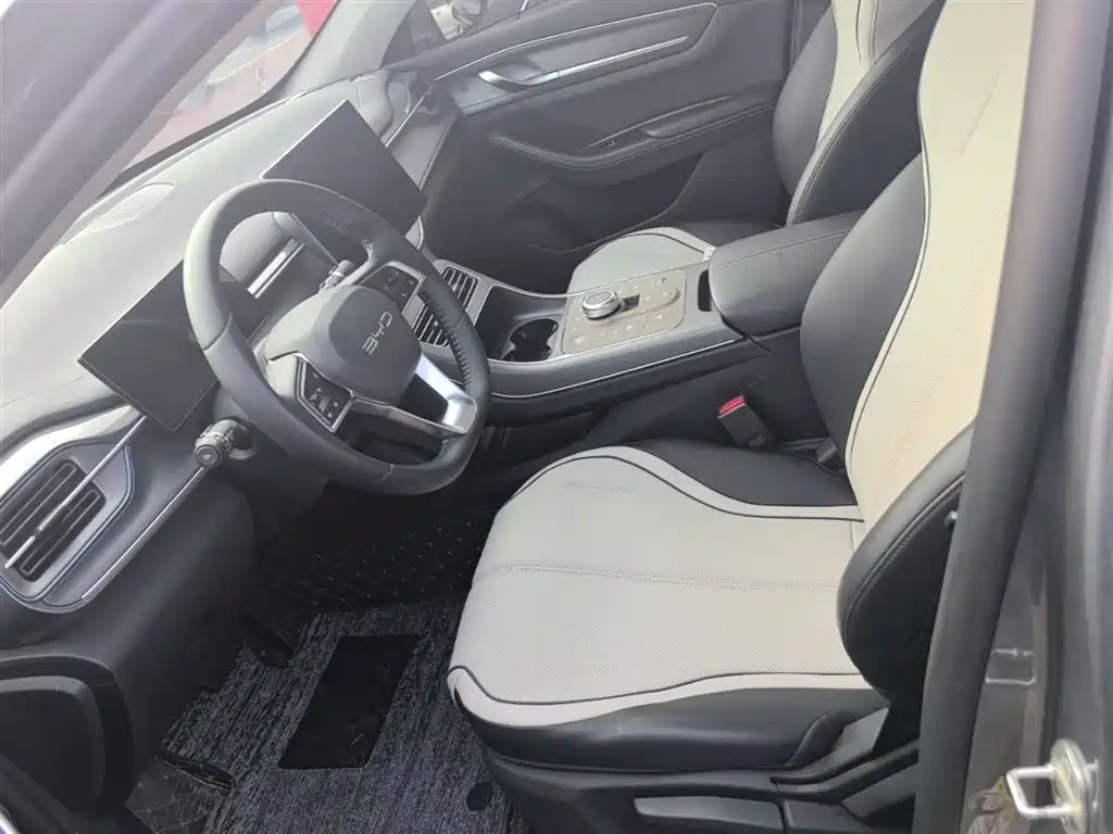 BYD Destroyer 05 2023 Champion Edition DM-i 55KM Luxury фото 15