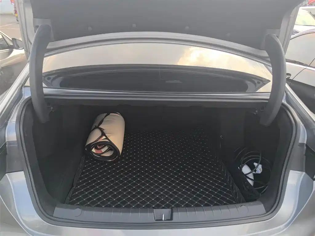 BYD Destroyer 05 2023 Champion Edition DM-i 55KM Luxury фото 19