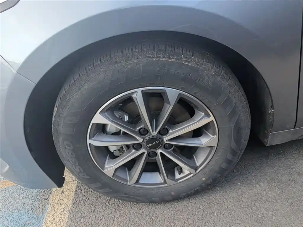 BYD Destroyer 05 2023 Champion Edition DM-i 55KM Luxury фото 23