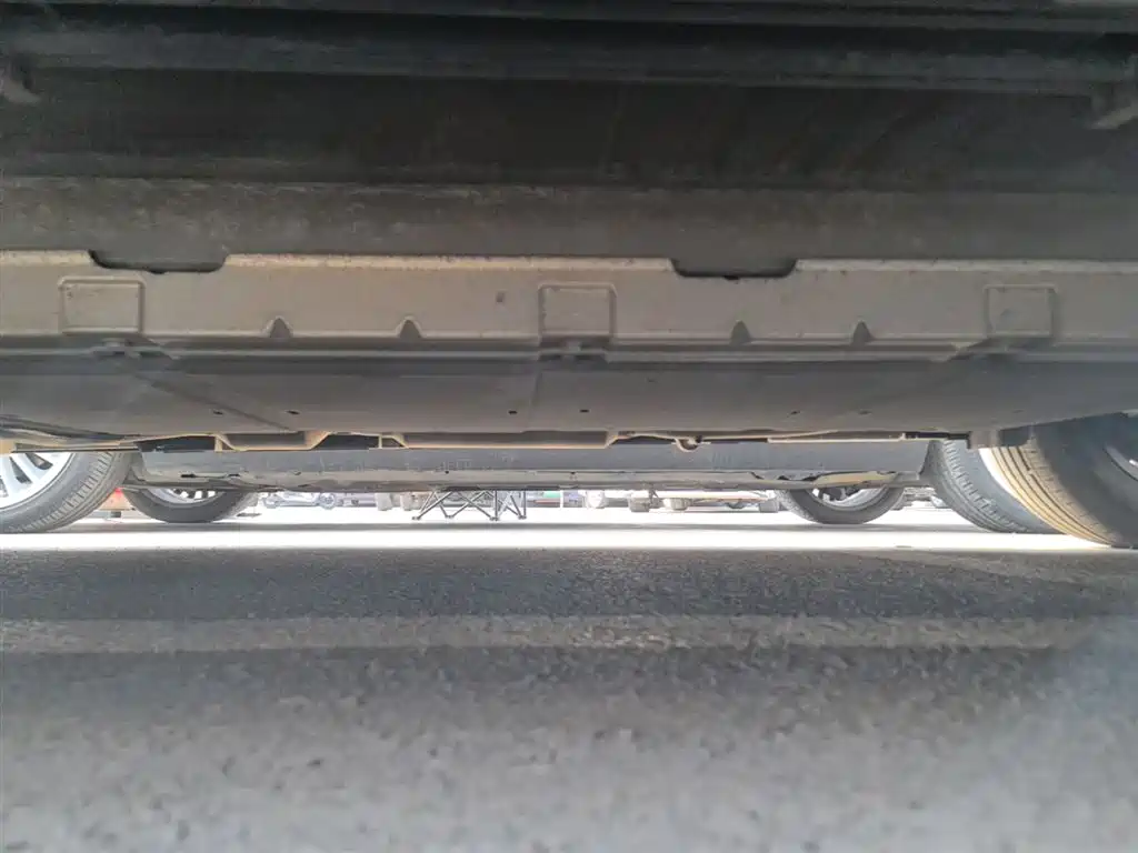 BYD Destroyer 05 2023 Champion Edition DM-i 55KM Luxury фото 22