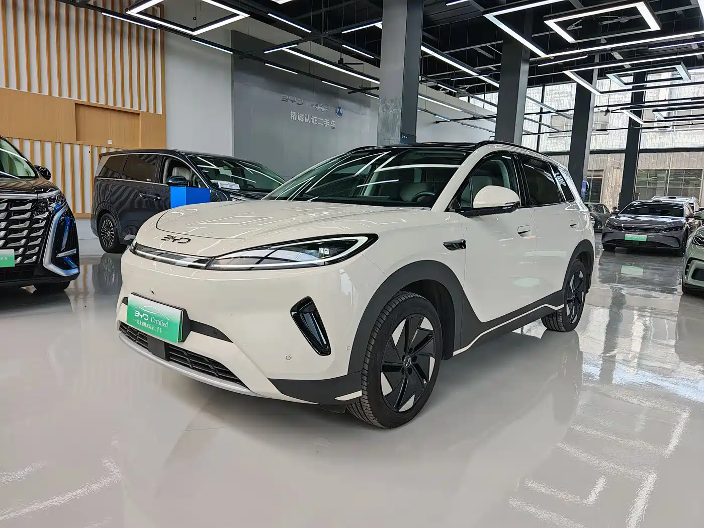 BYD Hai Shi 05 EV 2025 520KM Flagship Smart Navigation Edition