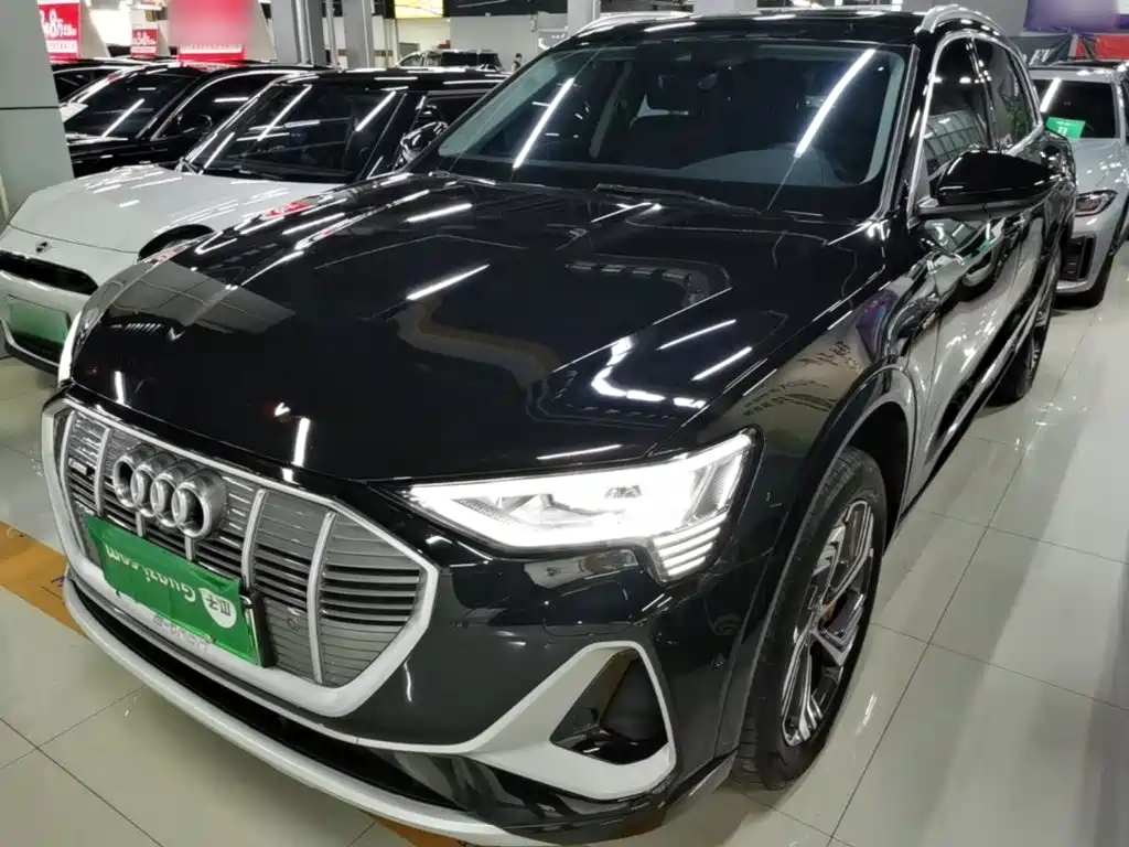 Audi e-tron 2022 2021 50 quattro Exclusive Selection