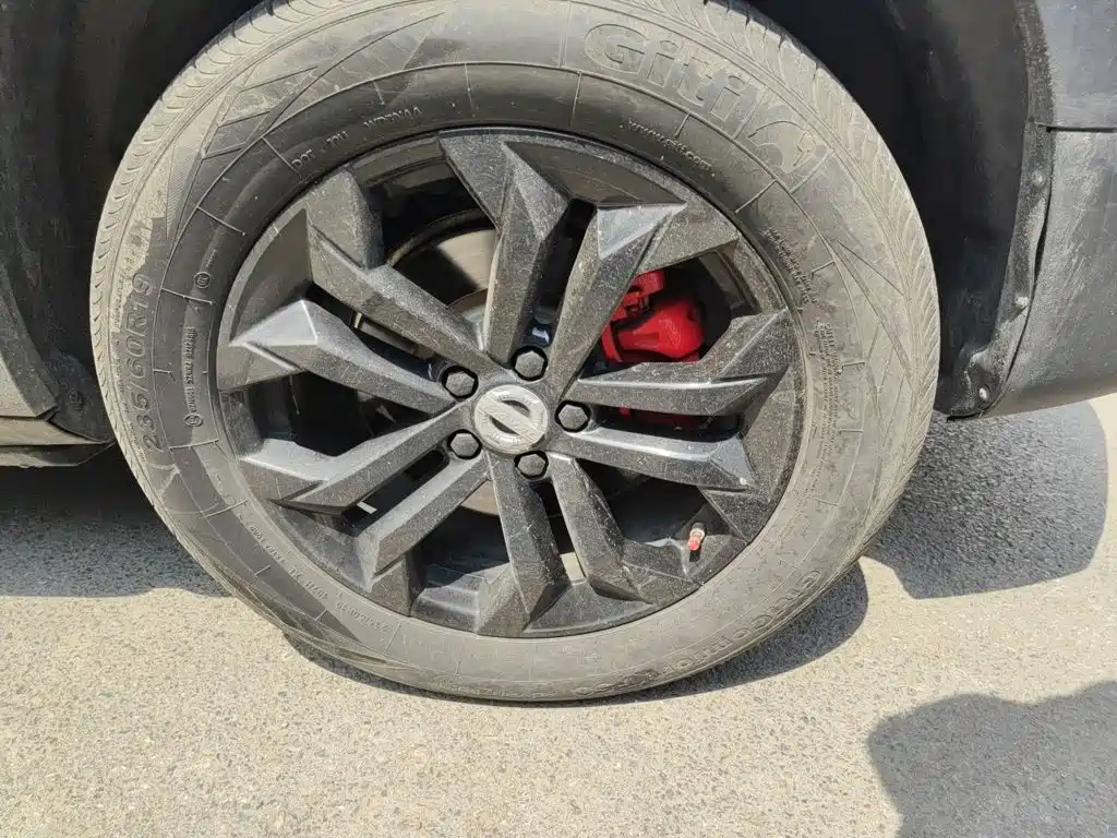 Photo 26 - Haval Big Dog