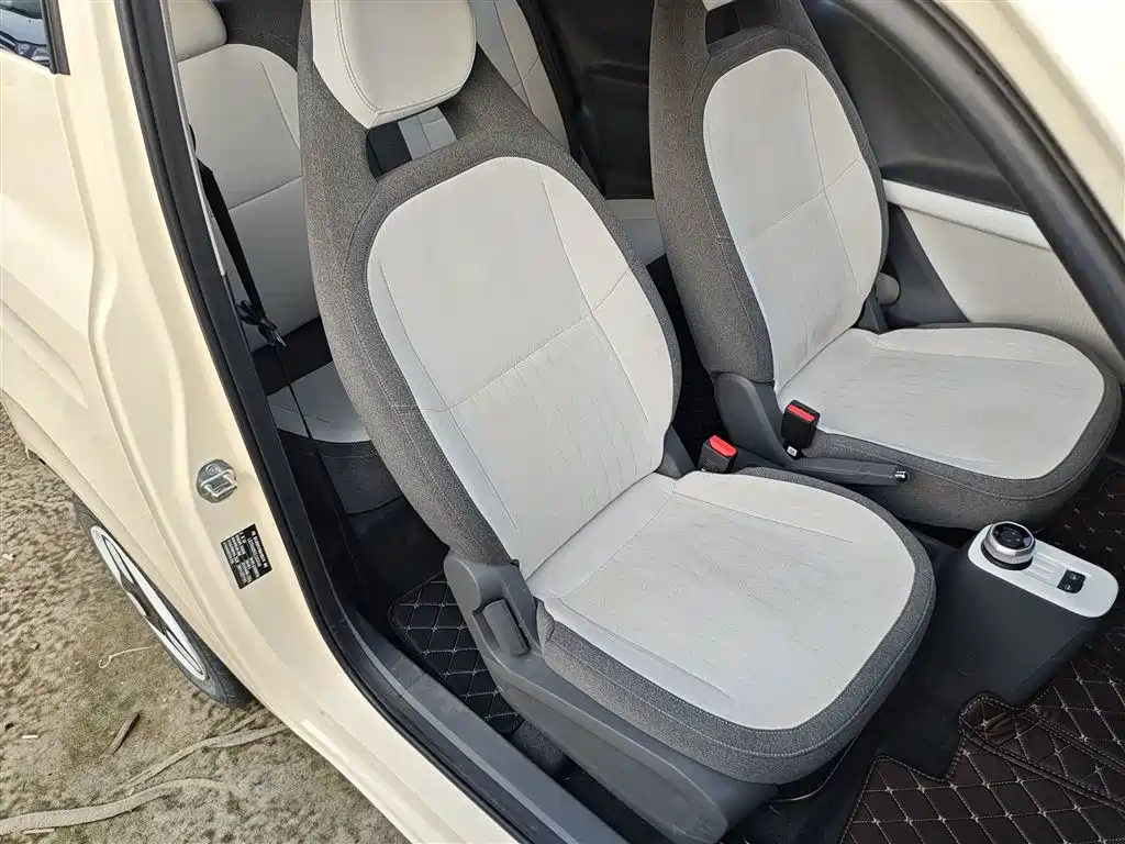 Geely Galaxy Panda 2025 Panda mini 210km Vitality Bear фото 25