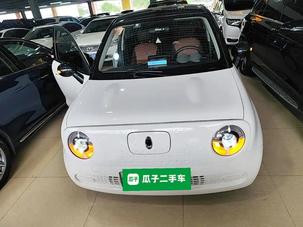 Ora Black Cat 2019 Model 351km Smart Fun Edition