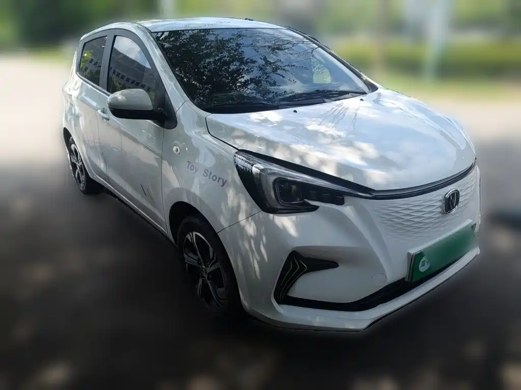 Changan Benben E-Star 2023 2022 Serenity Edition Colorful LFP