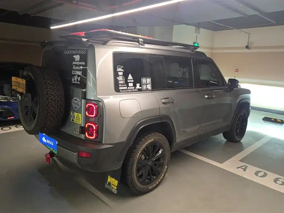 Haval Meng Long NEV 2024 Hi4 102 Pro фото 3