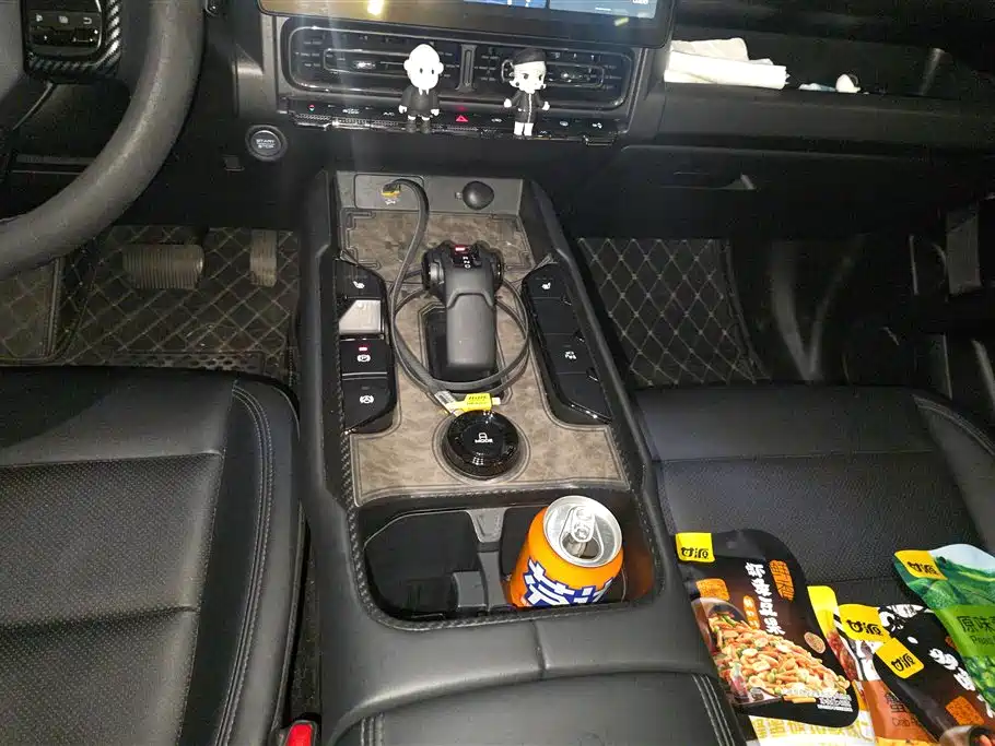 Haval Meng Long NEV 2024 Hi4 102 Pro фото 16