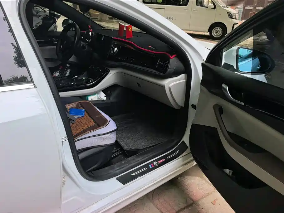 BYD Qin PLUS 2023 Champion Edition DM-i 55KM Leading фото 8