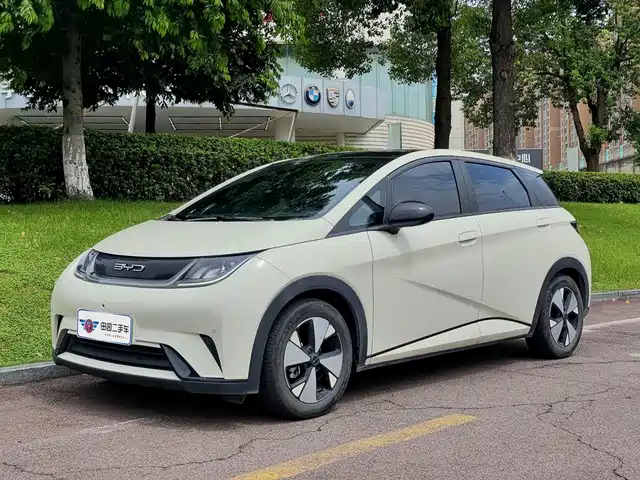 BYD Dolphin 420km, Стиль