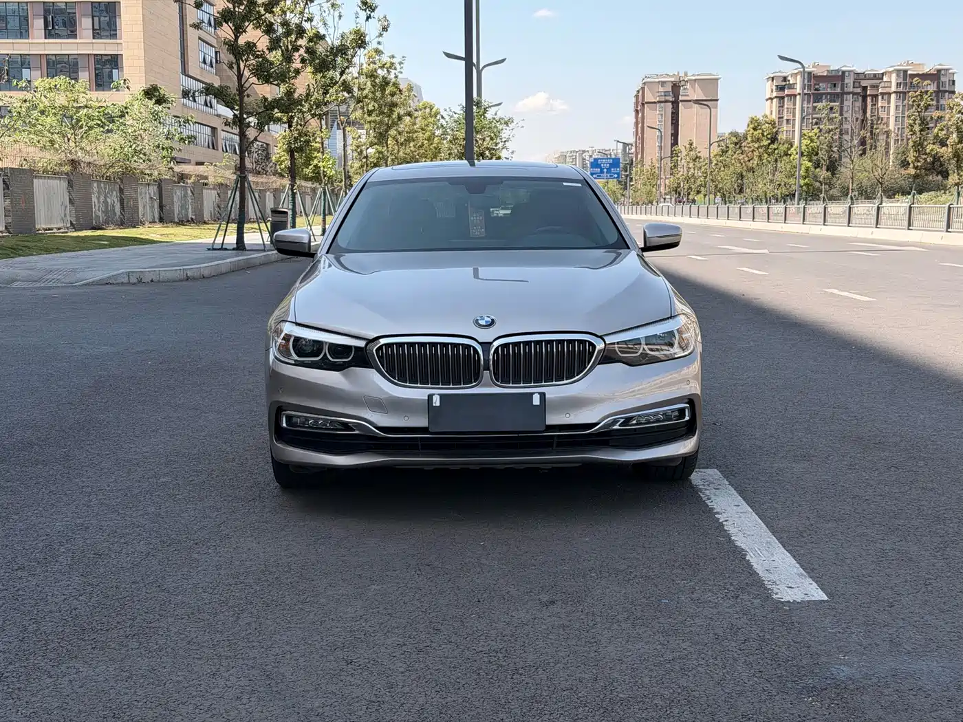 BMW 5 Series 2018 525Li Luxury Package фото 2