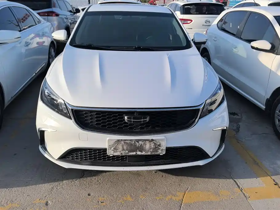 GEELY AUTOMOBILE BINRUI