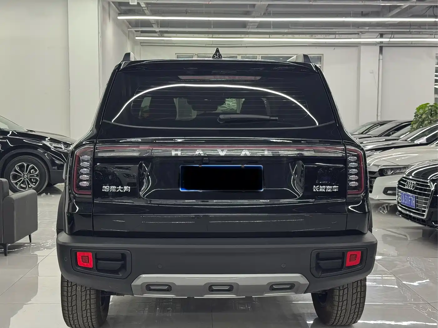 Haval Big Dog 2024 1.5T DCT Border Collie Edition фото 7