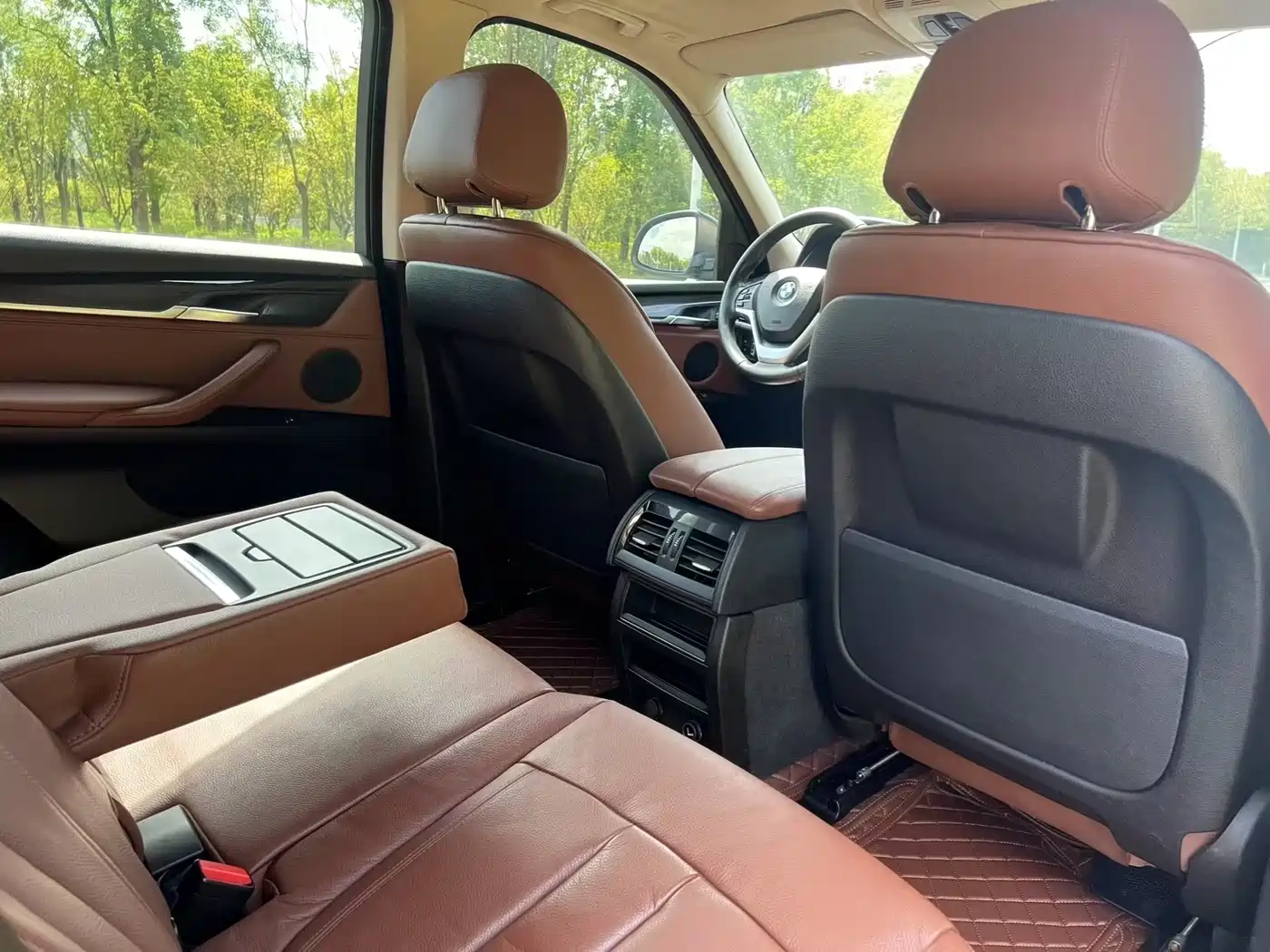 BMW X5 (Import) 2014 xDrive35i Luxury фото 6