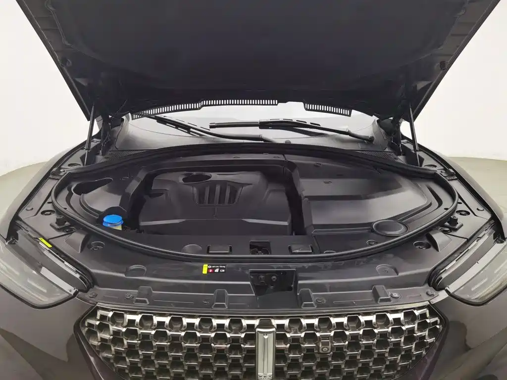 WEY VV7 2020 2020 Model 2.0T Flagship