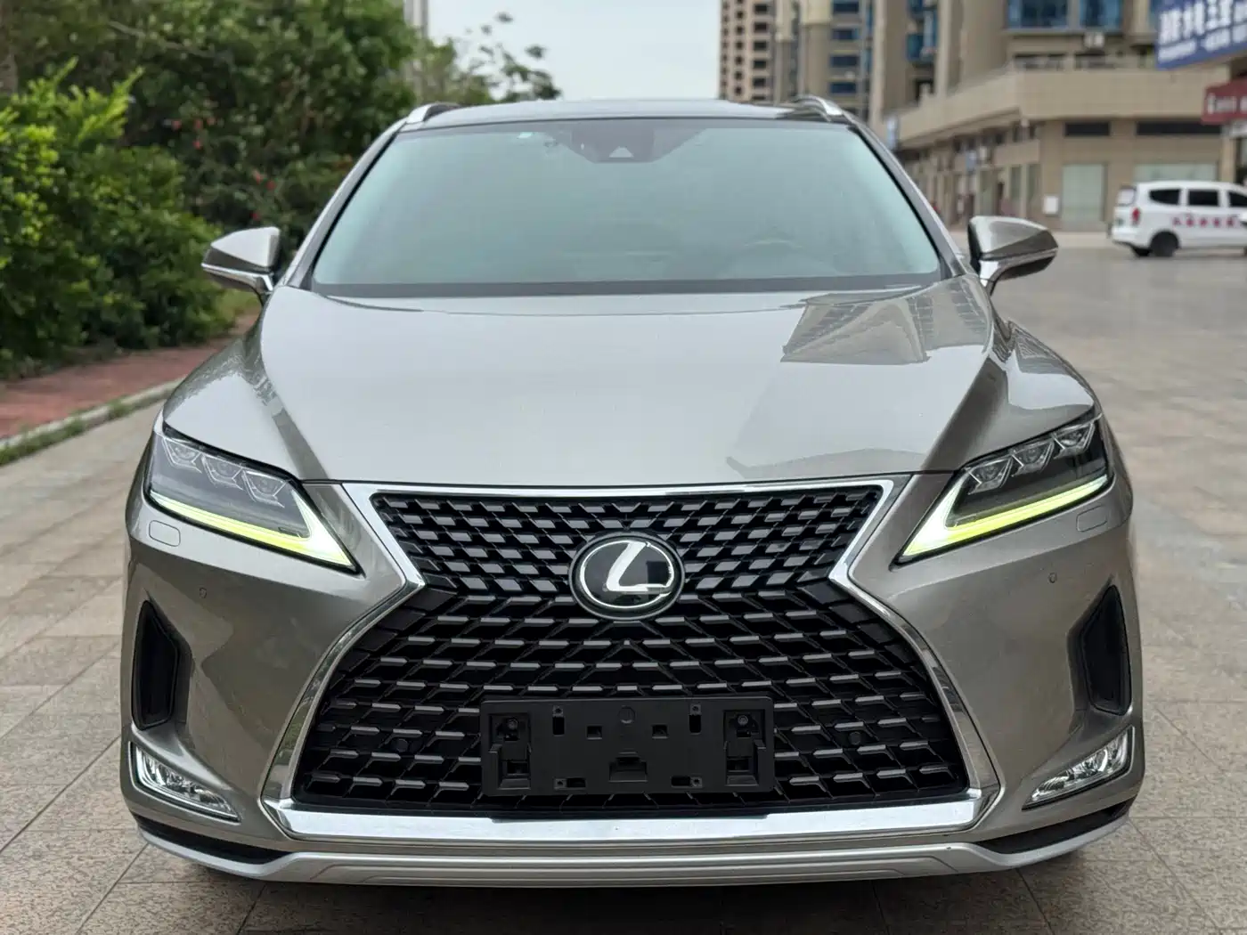 LEXUS RX