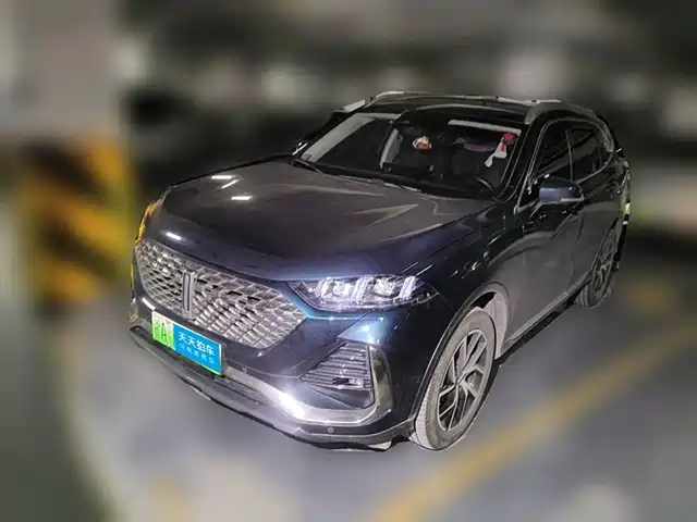  WEY Wey Latte DHT-PHEV 2022 1.5T 2WD Extra Large Cup