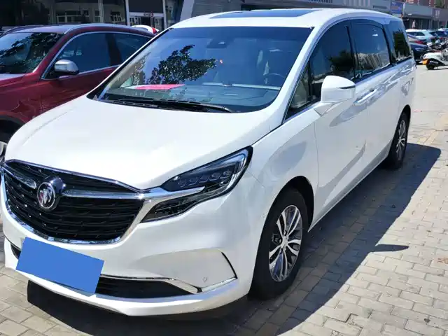 Buick GL8 ES Люкс, 653T, Престиж